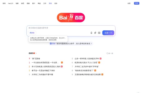 百度 网站预览