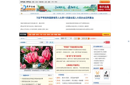 华声论坛 网站预览