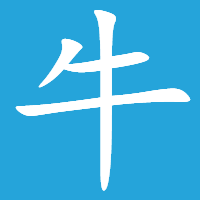 牛猫新媒体 图标
